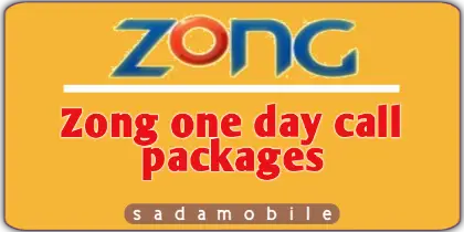 Zong One Day Call Packages